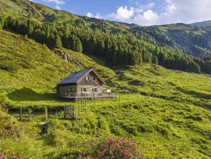 Hike along the Mur, alpine hut with alpine roses, Murursprung, Muhr, national park municipality,