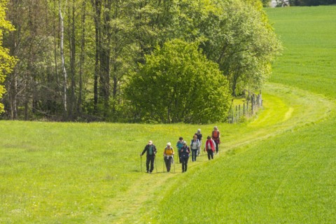 New Caspar David Friedrich Trail opened in Saxon Switzerland, Reinhardtsdorf-Schoena, Saxony,