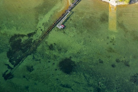 Flight in a zeppelin along the shore of Lake Constance, aerial view, shore area with turquoise