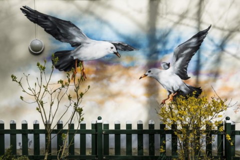 Wall painting with Seagulls, Dangast, Jade Bay, North Sea, Lower Saxony, Germany, Europe