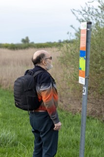 Elderly man reading information sign, information board, Elbtalaue near Bleckede, Lower Saxony,