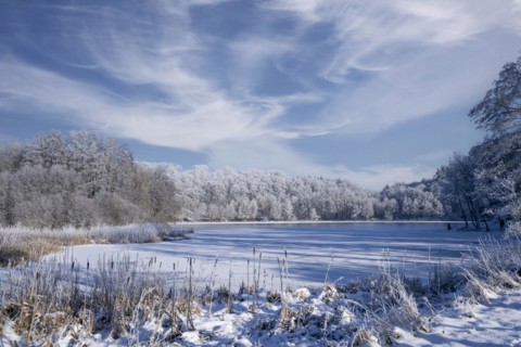 Holzmaar, in winter, nature reserve, Vulkaneifel, Rhineland-Palatinate, Germany, Europe