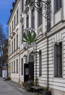 Hemp Museum in the Nikolai Quarter, Berlin-Mitte, Germany, Europe