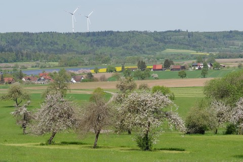 Spring in the Swabian-Franconian Forest nature park Park near rose garden-Sanzenbach, fruit