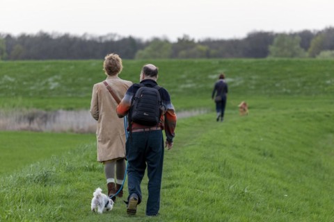 Man and woman walking Bolonka Zwetna dog, Elbtalaue near Bleckede, Lower Saxony, Germany, Europe