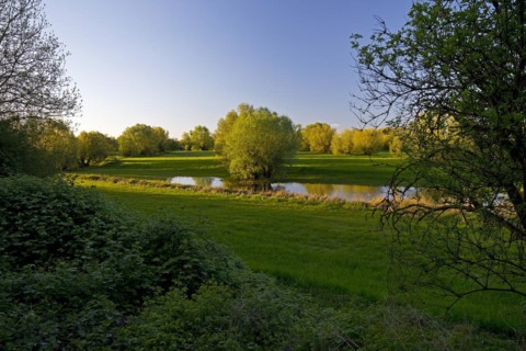 Nature reserve Uedesheimer Rheinaue in the evening light, Neuss, Lower Rhine, North
