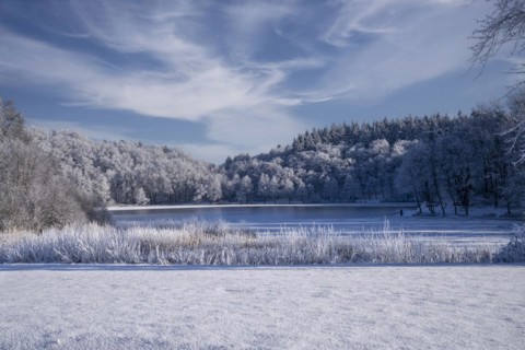 Holzmaar, in winter, nature reserve, Vulkaneifel, Rhineland-Palatinate, Germany, Europe