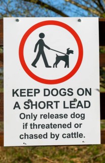 Keep Dogs on short lead, only release dog if threatened or chased by cattle, Suffolk Sandlings,