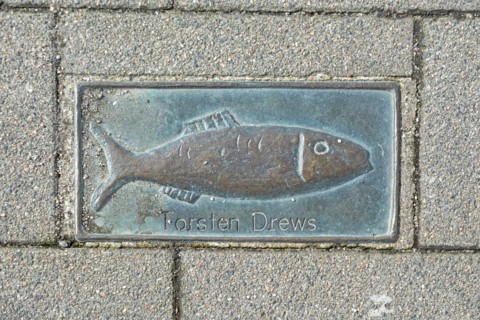 Bronze Clupeidae, pavement, Torsten Drews, harbour, Kappeln, Schlei, Schleswig-Holstein, Germany,