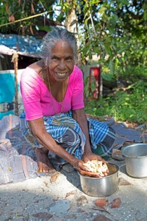 Indian woman, 78 years old, squatting on the floor and washing cassava roots, Kavanattinkara,