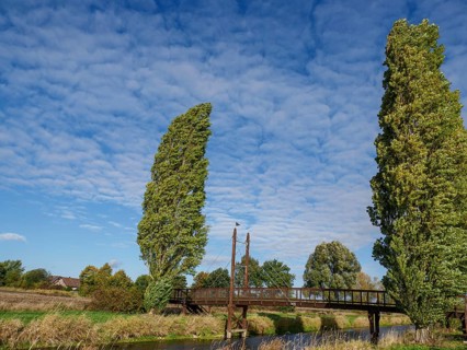 A wooden bridge crosses a river, flanked by tall trees and surrounded by meadows under a blue sky
