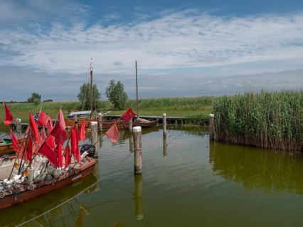Boats with red flags lie in the water in front of a calm lake with reeds and green meadows, under a