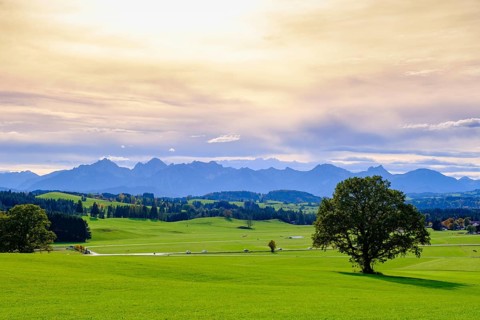 At the Egg viewpoint, in the background Ammergau and Allgaeu Alps, Steingaden, Upper Bavaria.