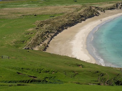 A stretch of coastline with a curving sandy beach surrounded by green meadows and rolling hills