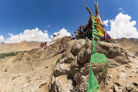 Namgyal Tsemo Gompa Monastery, Tsenmo Hills, Leh, Ladakh, Jammu and Kashmir, India, Asia