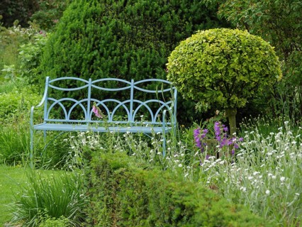 Metal garden bench in a green garden, surrounded by shrubs, bushes and blooming purple and white
