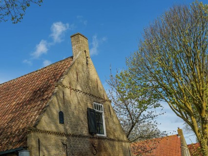 An old brick house with a red tiled roof and a large tree under a clear blue sky, historic houses