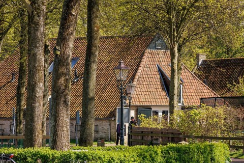 A house with a sloping roof and lantern in the foreground, surrounded by tall trees in spring,