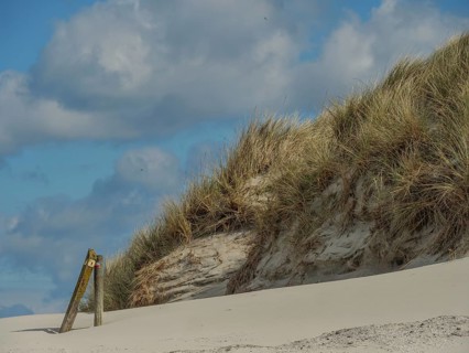 Close-up of sandy dunes with tufts of grass under a cloudy sky, dunes by the sea with clouds in the
