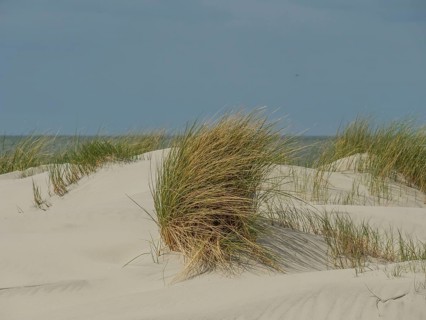 Grassy sand dunes and the sea in the background, with a cloudy blue sky above, dunes by the sea