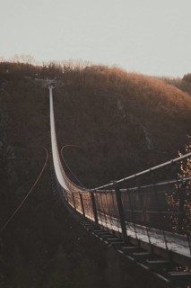 A bridge leads through autumnal trees in the subdued light of dusk. Suspension rope bridge