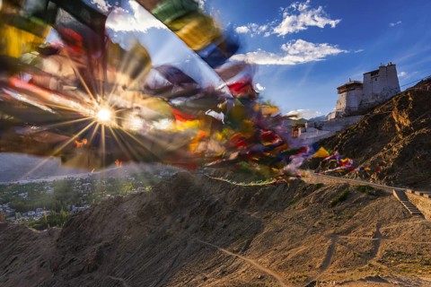 Namgyal Tsemo Gompa Monastery, Tsenmo Hills, Leh, Ladakh, Jammu and Kashmir, India, Asia
