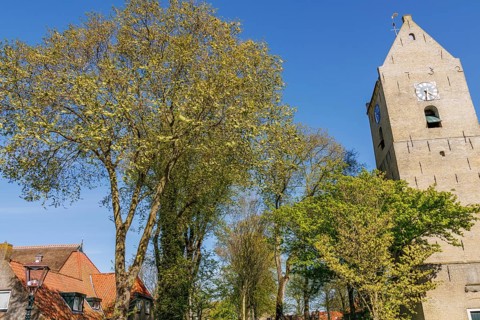 Historic tower with clock and trees under a blue sky in a village in spring, historic houses in a
