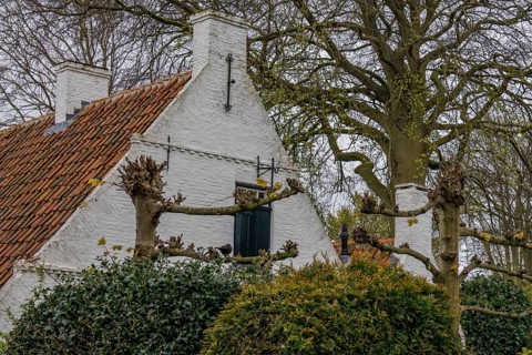 White painted house with red tiled roof, surrounded by large old trees, old houses with green