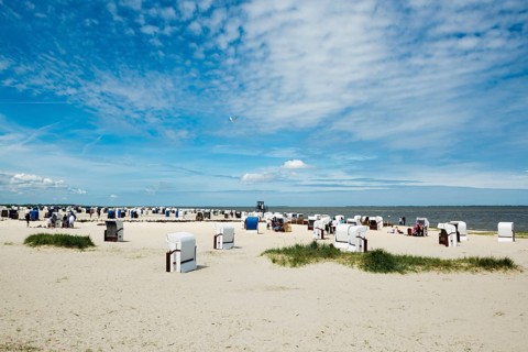 Beach chairs on the sandy beach, Harlesiel, Carolinensiel, East Frisia, Lower Saxony, Germany,