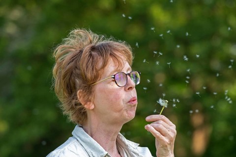Woman blowing Pustblume, Boizenburg, Mecklenburg-Vorpommern, Germany, Europe