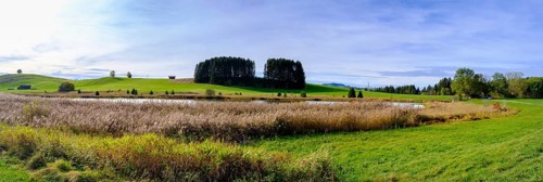 Storchenmoosweiher near Steingaden, Upper Bavaria. Bavaria, Germany, Europe