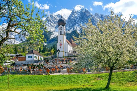 Spring meadow with blossoming trees and parish church in front of the Grosser Waxenstein 2277m in