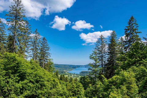 Forest landscape with a view of a lake and distant hills under a blue sky with clouds, Fischbach.