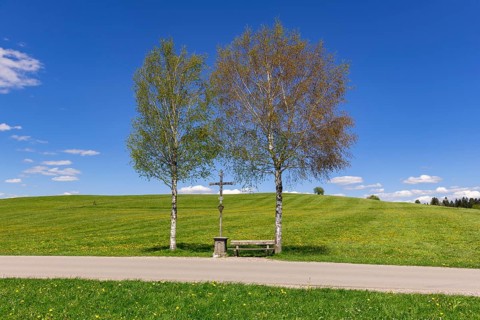 Wayside cross with bench on a path, birch trees, Allgaeu Alps, Ostallgaeu, near Buching, Allgaeu,