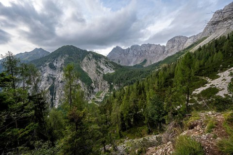 Mountain landscape with rocky mountain peaks and mountain forest, Obere Wolayer Alpe, Carnic High