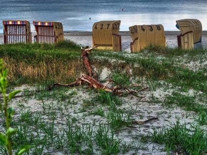 Beach chairs on a sandy beach, surrounded by beach grasses and driftwood, in front of a calm sea