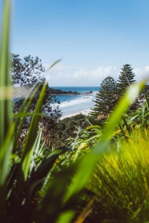 Nature shot of the beach and wave with paradisiacal plants and trees in the foreground. Taken while