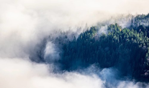 Wooded mountain looks out of cloud cover, view from Ettaler Manndl, high fog in the valley,