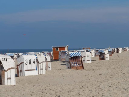 Sandy beach with rows of numbered white beach chairs and blue sky, dunes and beach at the sea with