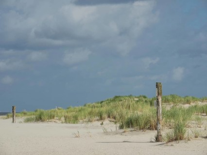 Beach with sand dunes and cloudy sky, peaceful and quiet atmosphere, lonely beach with dune grass