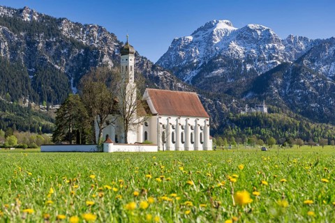Pilgrimage church of St Coloman in spring, dandelion meadow, behind Neuschwanstein Castle,