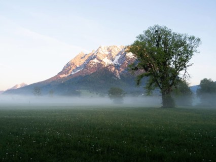 Morning light falls on a mountain peak, Grimming, early morning fog on the meadow, near Irdning,