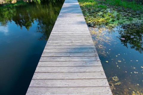 Footbridge at the pond in the natural garden, practical nature conservation, biotope for insects,