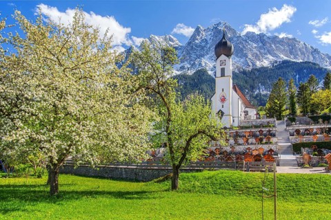 Spring meadow with blossoming trees and parish church in front of the Grosser Waxenstein 2277m in