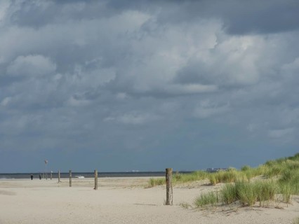 Barren sand dunes with tufts of grass and scattered posts, the sky is cloudy, lonely beach with