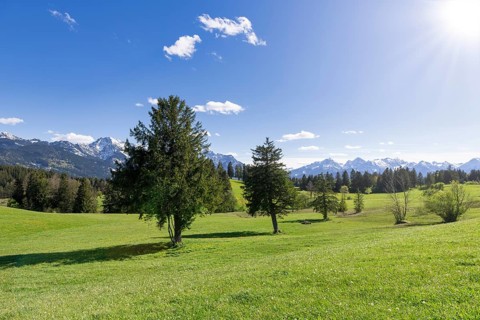 Landscape near Buching, Allgaeu Alps, sun, snow, forest, fir trees, Ostallgaeu, near Fuessen,