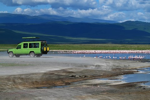 Safari jeep in Ngorongoro Crater, Ngorongoro Conservation Area, Tanzania, Africa