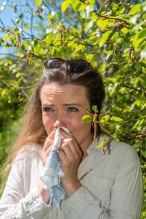 Young Caucasian woman, 35 years old, with allergy stands by flowering birch (Betula) in Ystad,