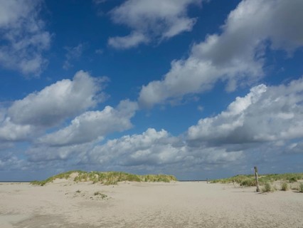 Sandy beach dunes under a blue sky with clouds, quiet ambience, lonely beach with dune grass in the