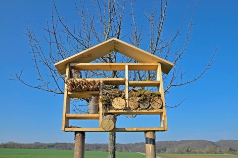 Nesting aid for wild bees and other insects with wood and elder stems, wild bee nesting aid, insect